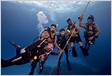 Quiz Which PADI Specialty Course Should You Take